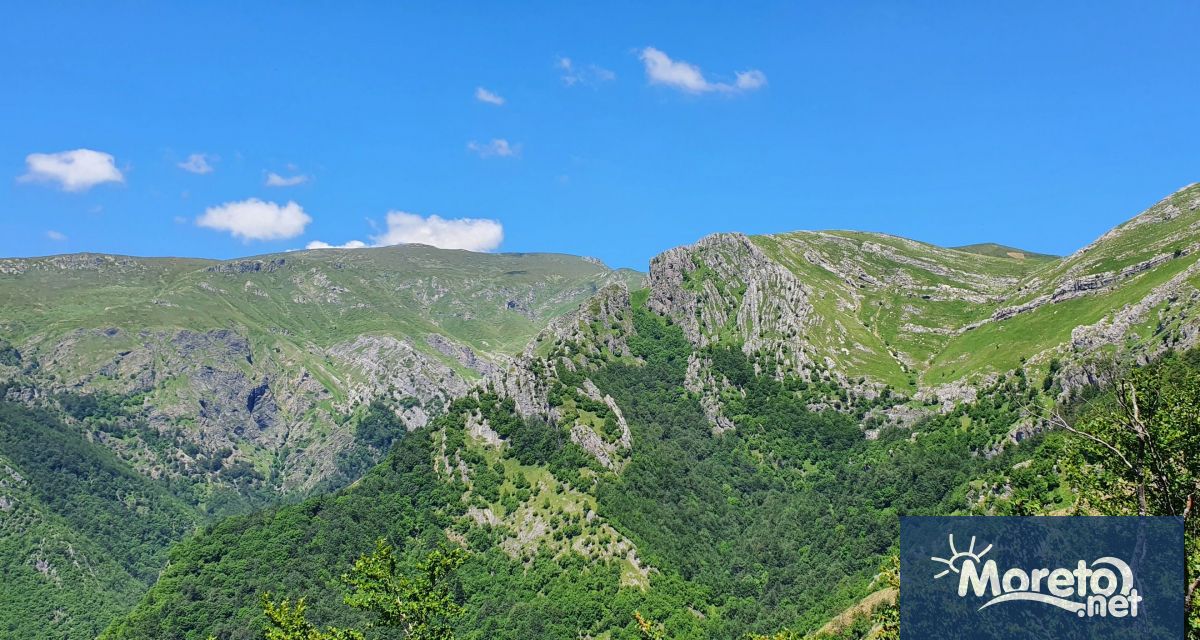 Европейският ден на парковете 24 май е обявен от Европейската