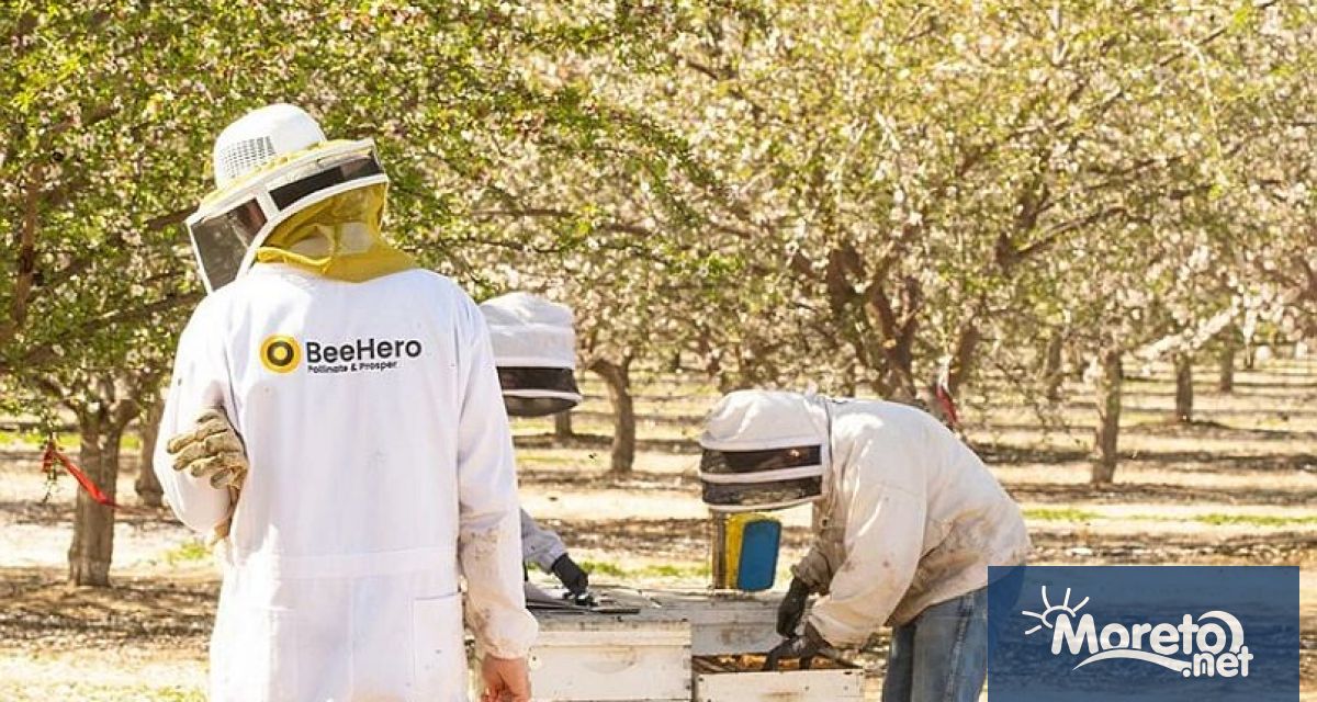 Webit Investment Network BSE WIN обяви че е подписан SAFE