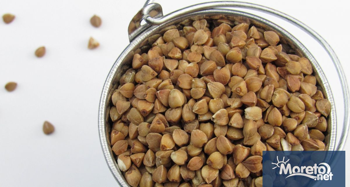 Технически елдата не е вид зърно Това е семе от