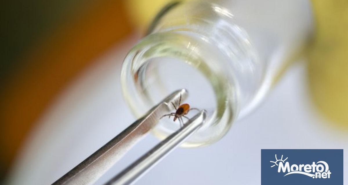 68 случая на ухапани от кърлежи са регистрирани във Варна