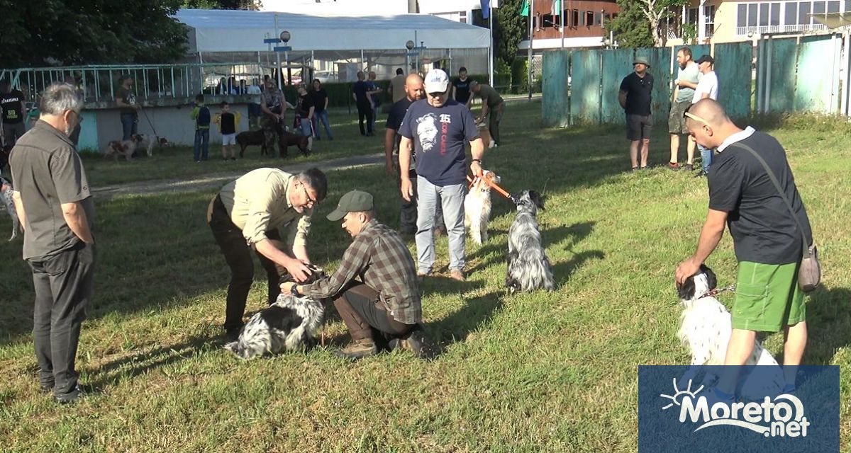 На 08 юни 2024 година в спортен ловно рибарски комплекс Звездица