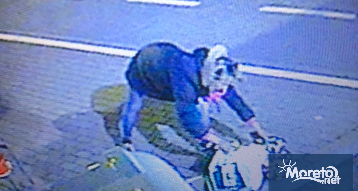 Ситуацията с боклука във Варна има криминален характер Внасяме сигнал