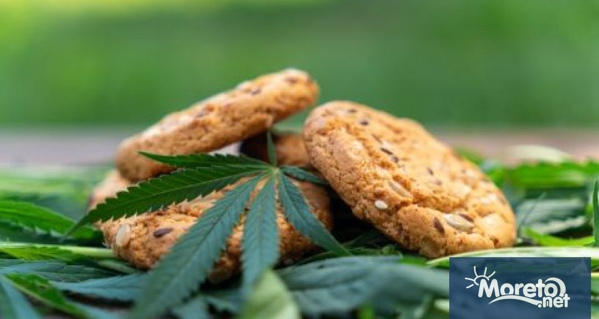 За последните две денонощия в Клиниката по токсикология към УМБАЛ