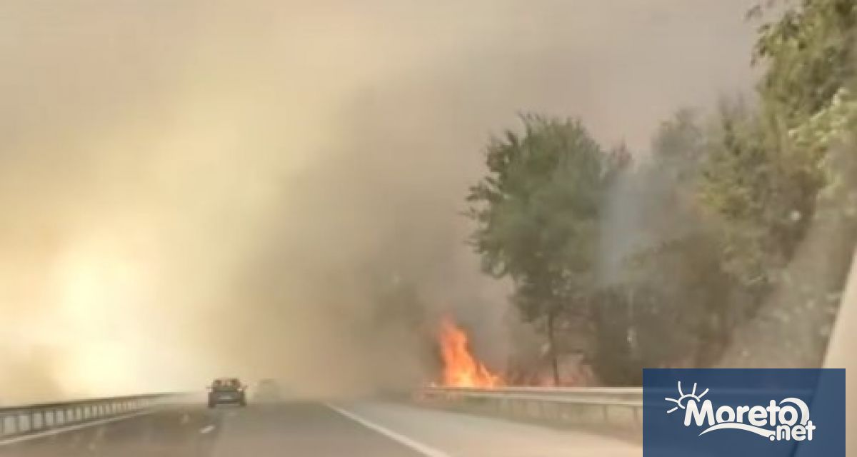 Пожар гори в района на пътния възел на АМ Хемус