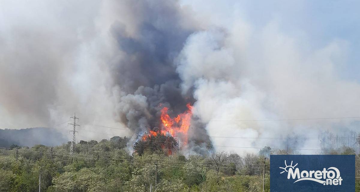 Автомагистрала Хемус и старият път за Девня са отворени за
