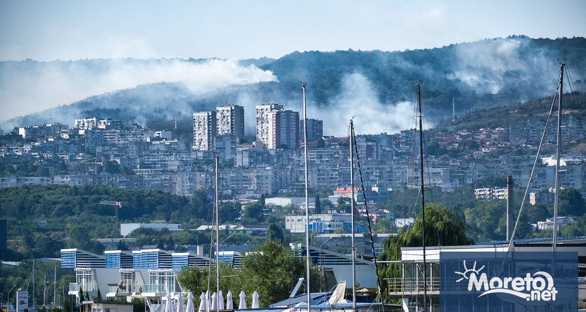 Пожар е възникнал и в гората над кв Владислав Варненчик Огнището