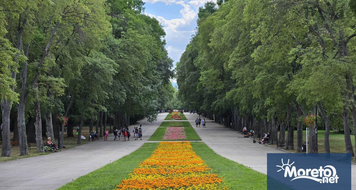 Да България Варна излезе с декларация за опазване на Приморски парк и