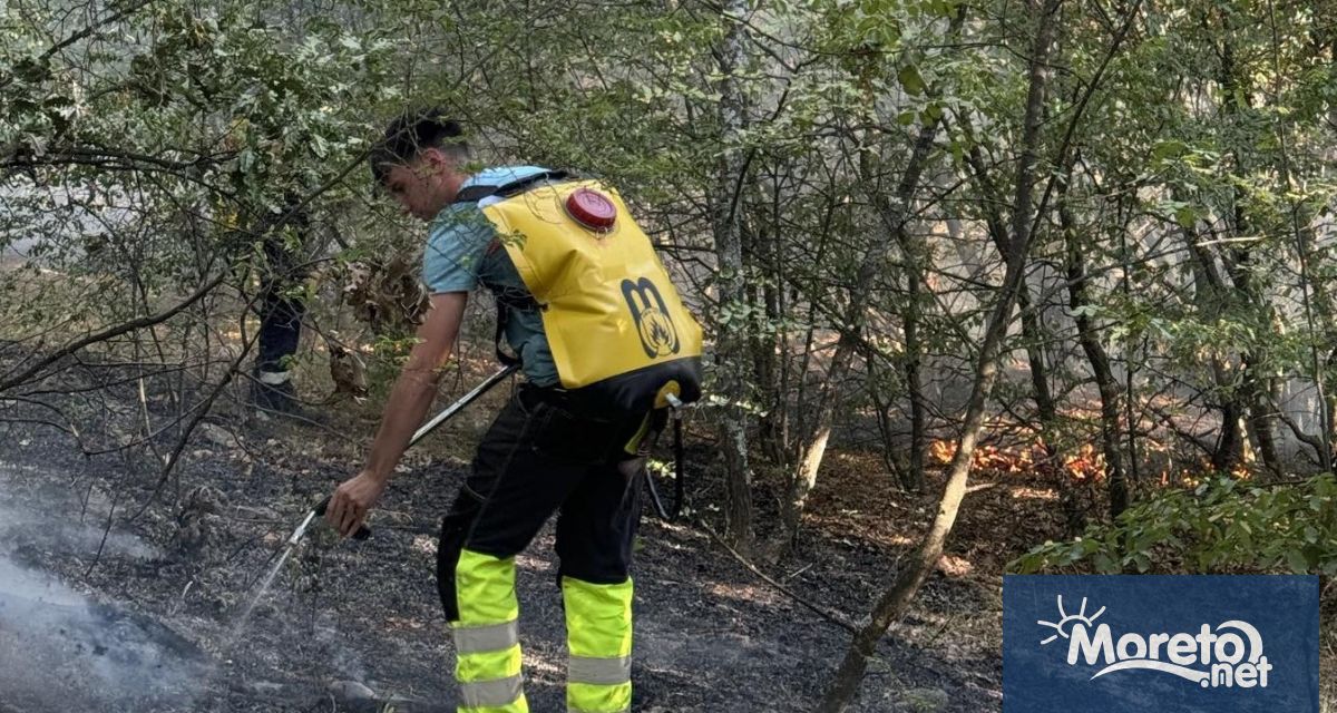 Кампания за събиране на дарения с които да бъдат закупени