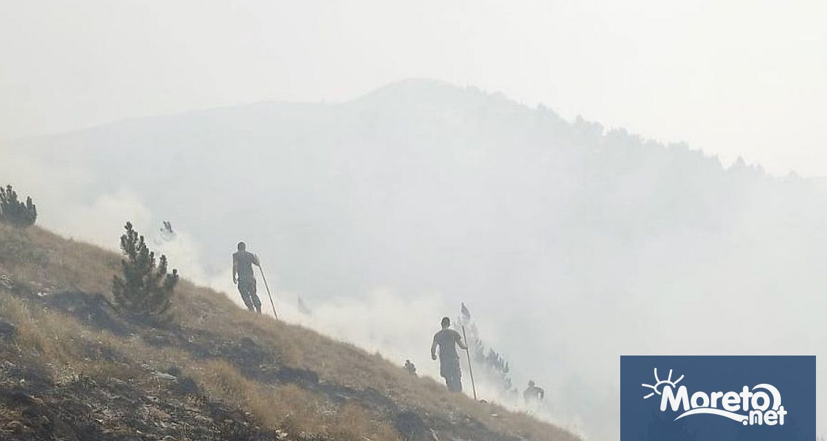 Военнослужещи и техника от Сухопътните войски и Военновъздушните сили ВВС