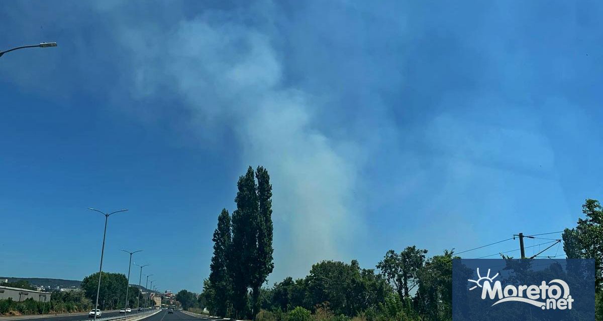 Сигнал за пожар в района на Топливо е получен в