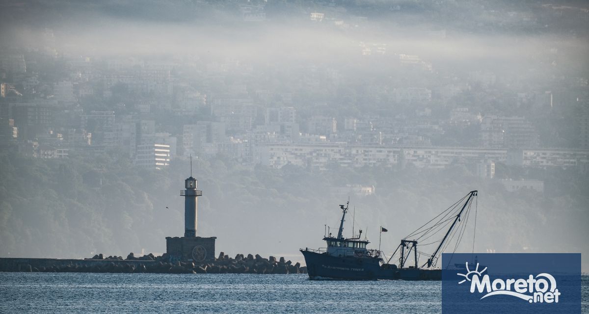 Сто акустични отблъскващи устройства за китоподобни бозайници ще бъдат раздадени
