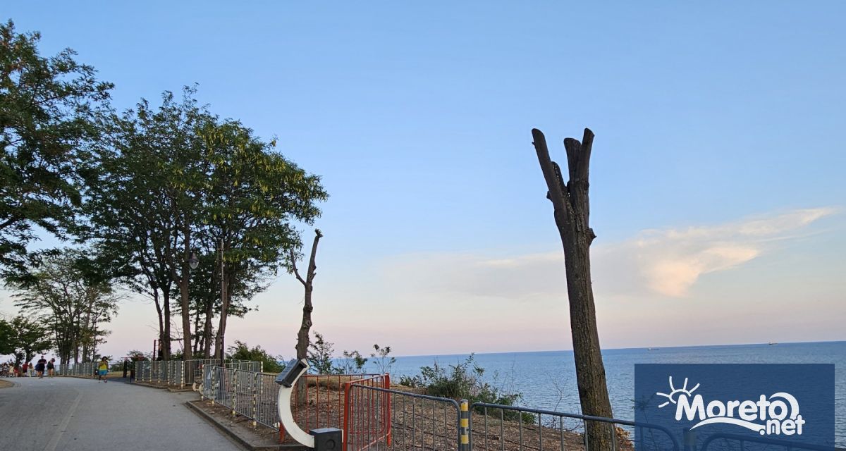 Това Moreto net разбира не в отговор на зададените въпроси по