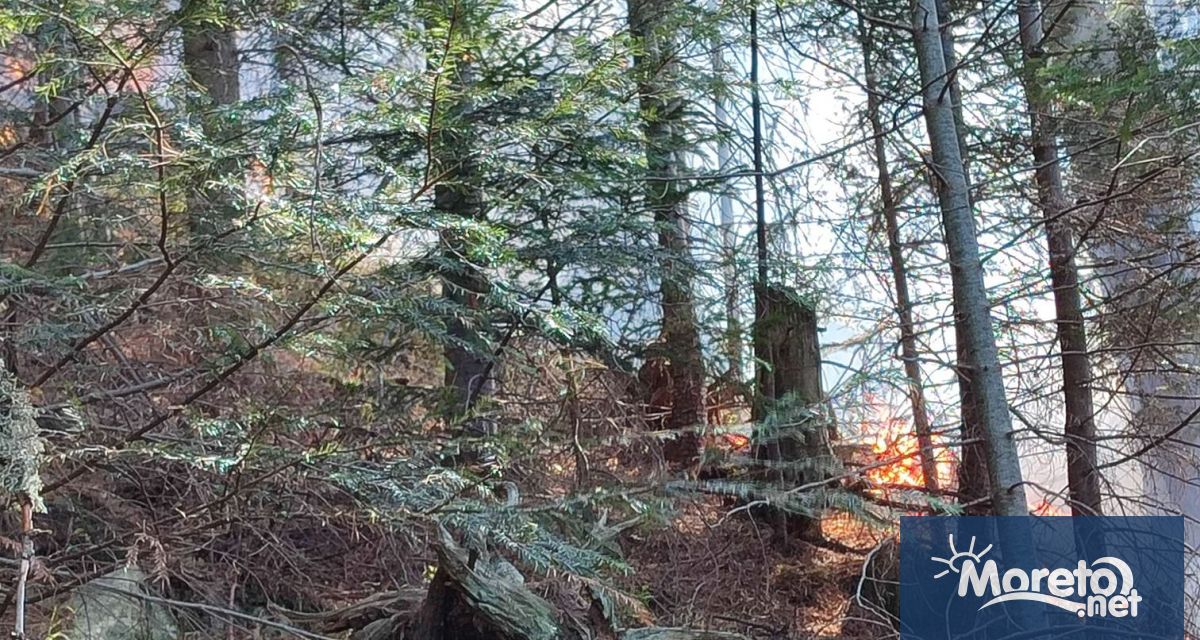 Разраства се пожарът в Национален парк Рила съобщава БНР Припомняме той