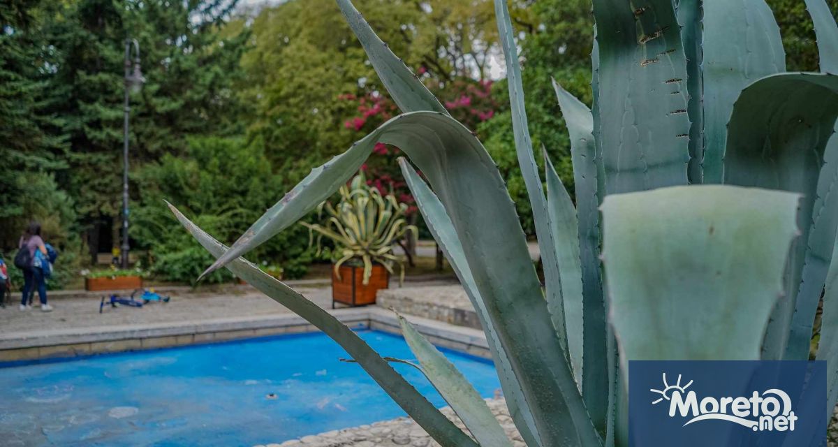 ЕКОГРАФИРАНЕ търси 12 младежи на възраст 16 29 г който искат