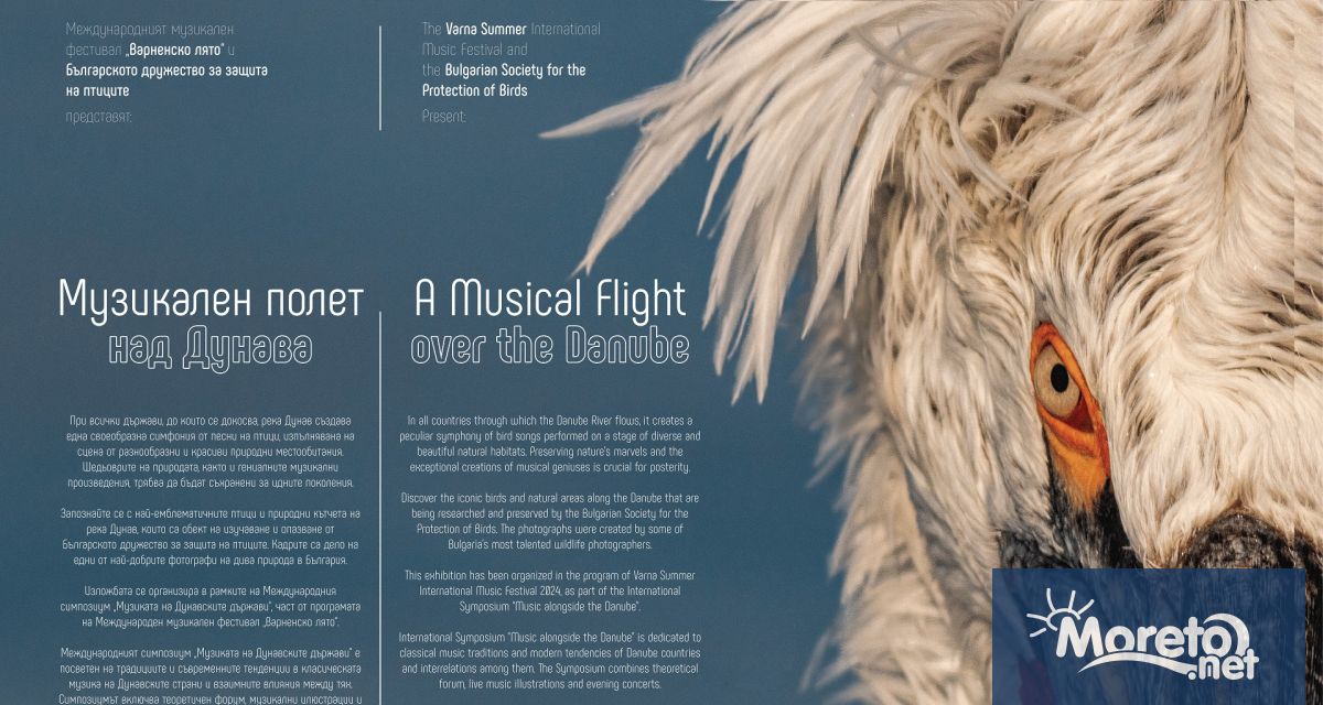 Изложба Музикален полет над Дунава реализирана в партньорство с Българското