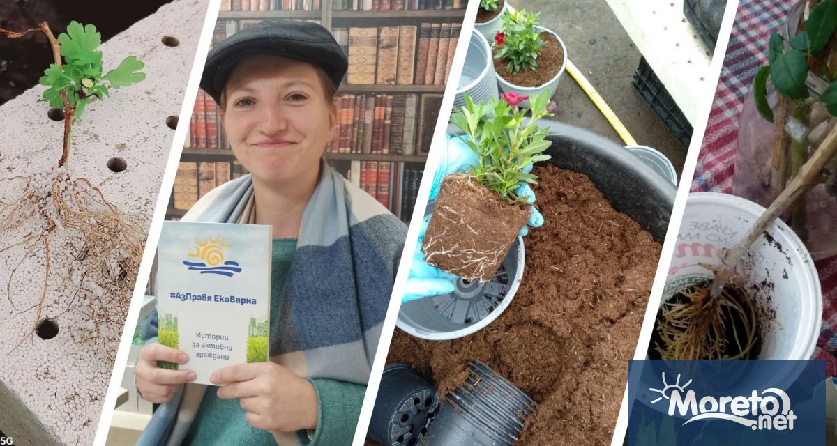 Мит ли са био плодовете и зеленчуци Как да поддържаме