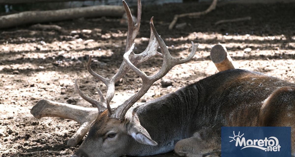 Общо 150 хил посетители са преминали през варненския зоокът от