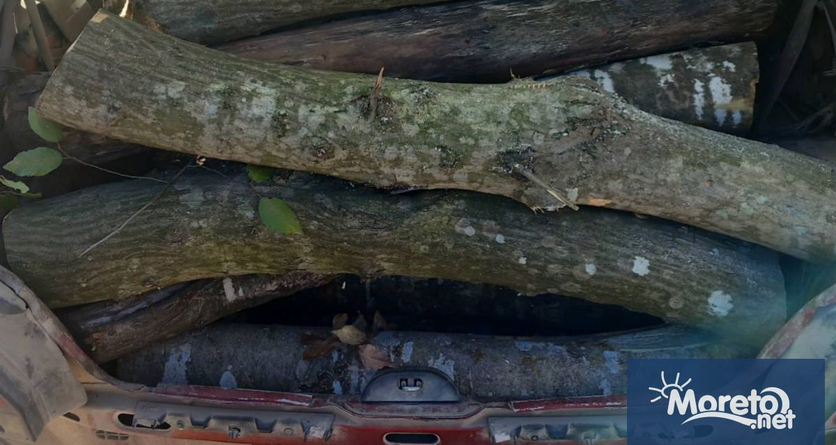 Служител от Държавно горско стопанство ДГС Варна е заловил