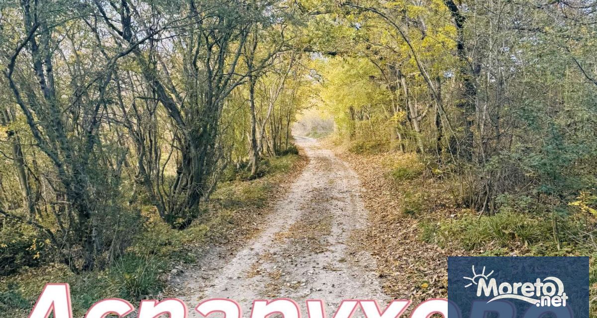 На 16 ноември неделя в кв Аспарухово ще се проведе четвъртото издание