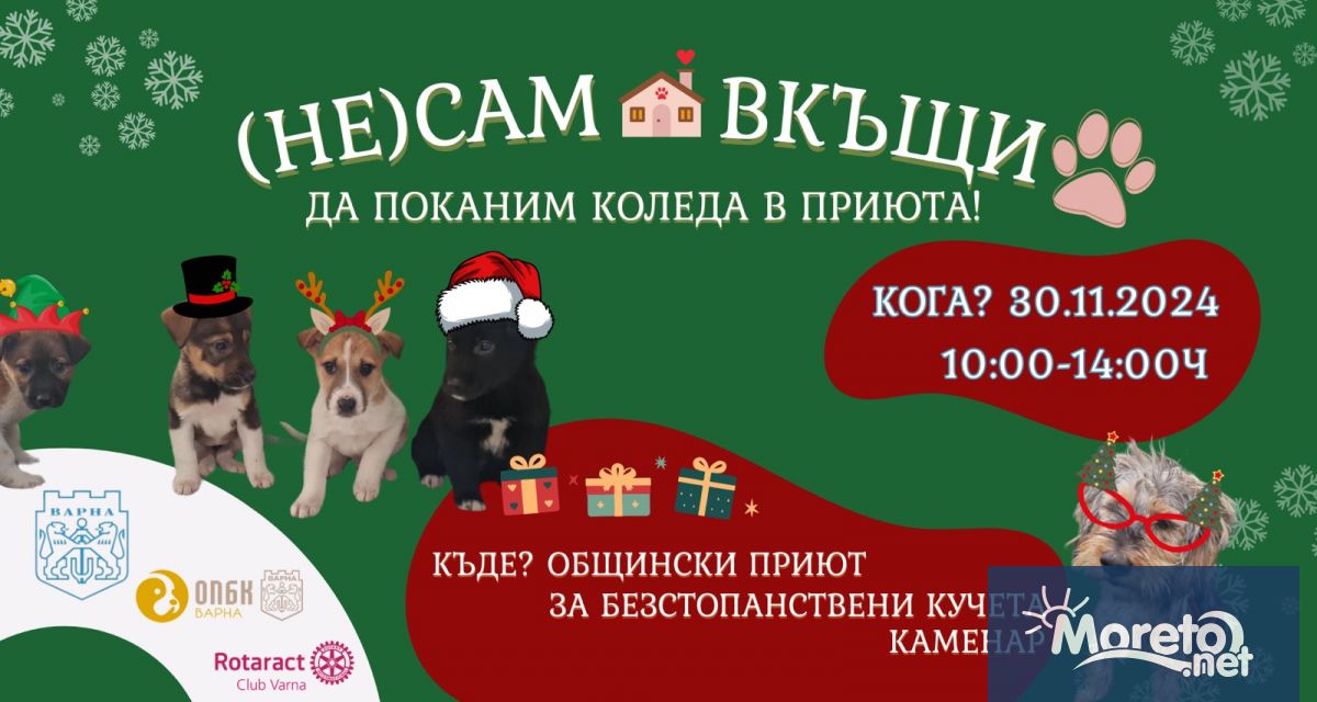 В навечерието на най светлите празници в годината Общинският приют за