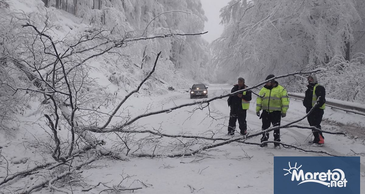 Екипи на пътноподдържащата фирма продължават разчистването на падналите дървета по