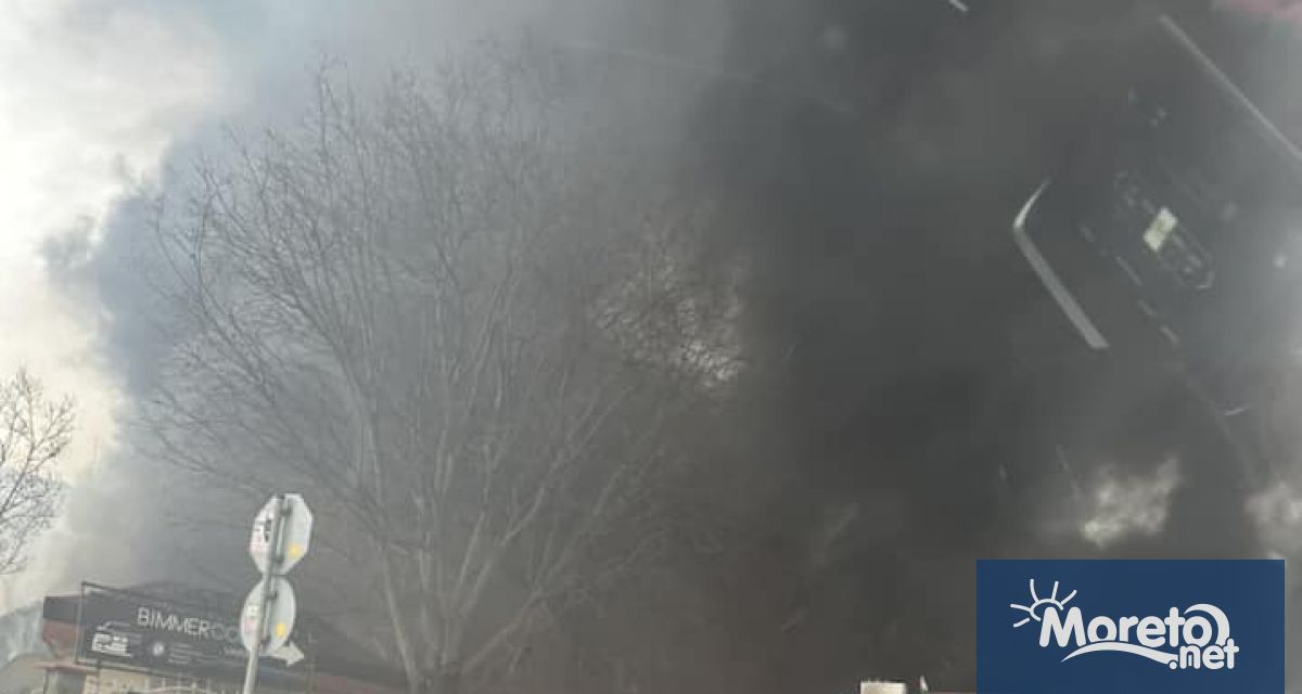 Шест леки автомобила един мотоциклет и сграда с разгърната площ