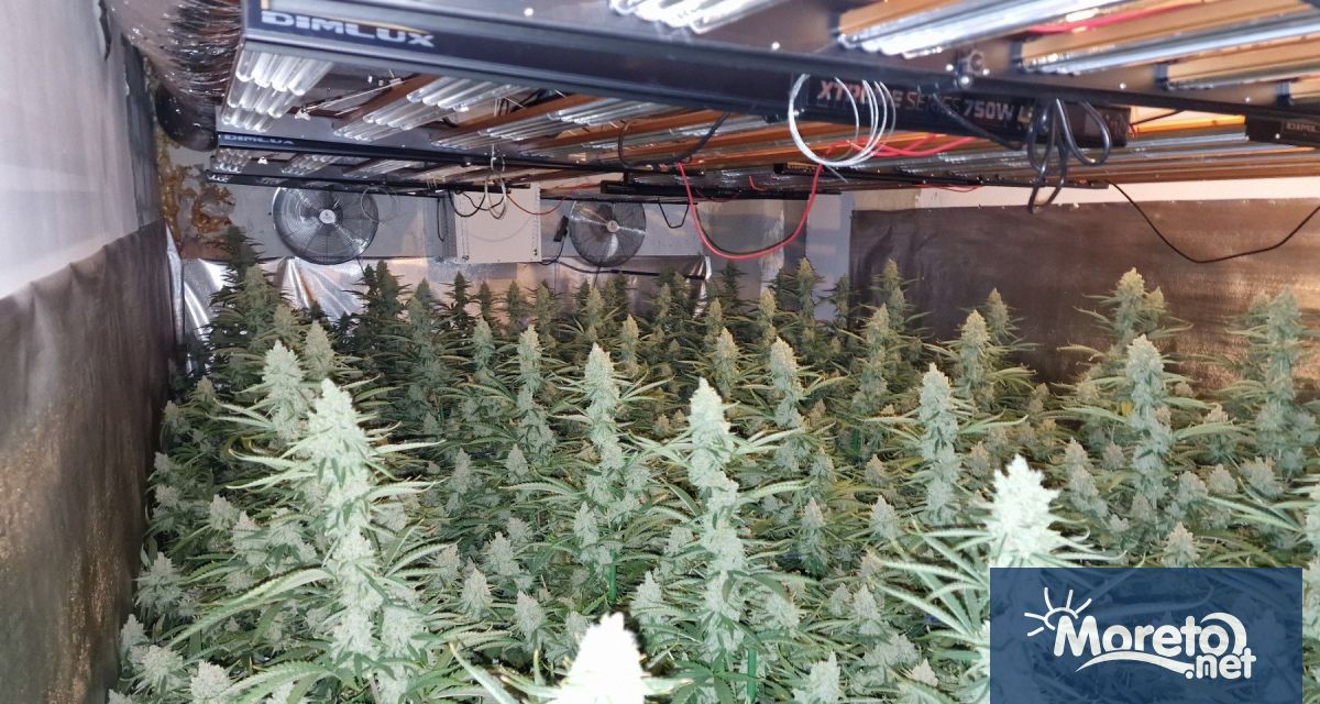 Днес около 10 00 часа сутринта криминалисти от ОДМВР Варна разбиха високотехнологична