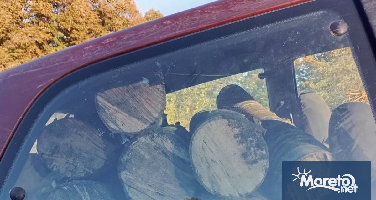 Шест автомобила един кон двадесет и девет каруци и единадесет