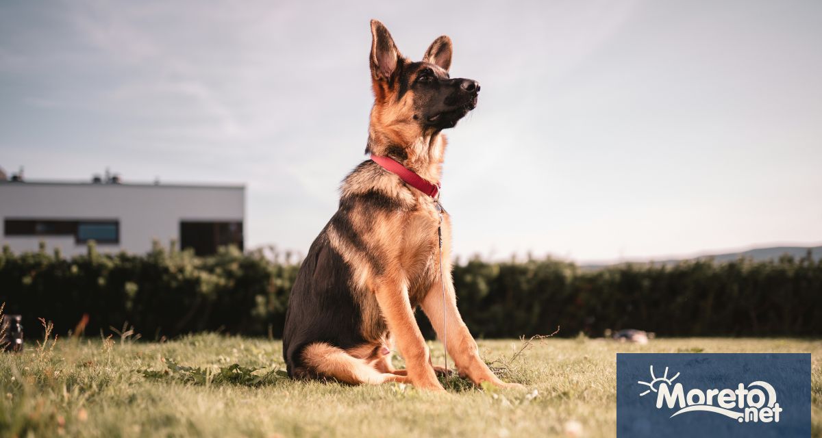 За часове беше открито 17 годишното момче изчезнало от Център за