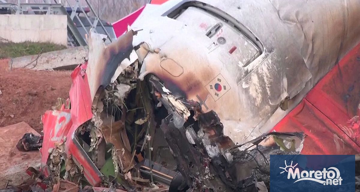 Разследващите твърдят че са открили доказателства за удар на птица