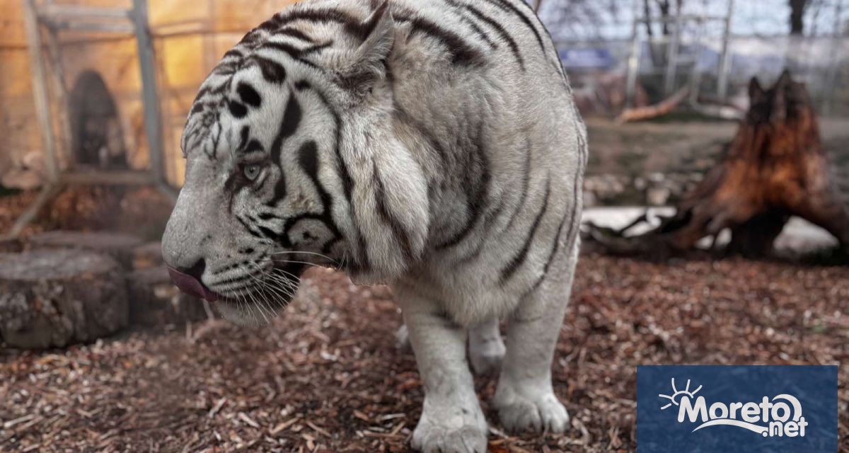 От утре 1 юли Варненският зоопарк ще работи с обновени