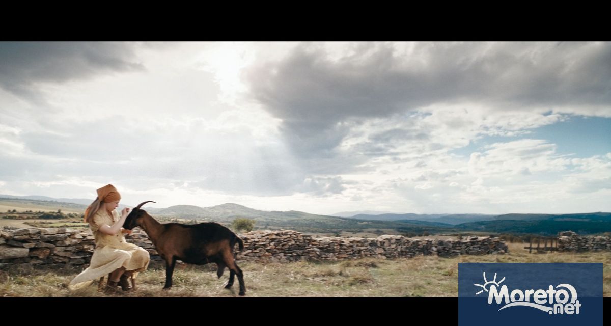 Най новият филм на Милко Лазаров Стадото разказва за Тарика момиче