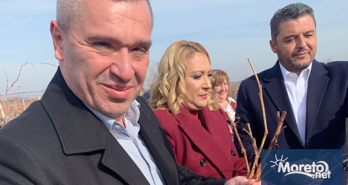 Лозаро винарският сектор се подпомага с близо 26 млн евро годишно