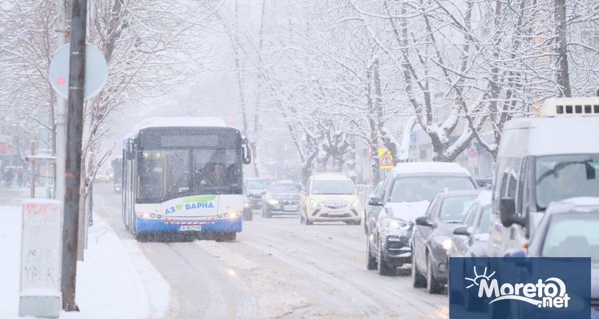 Автобусите по линия 31 от и за кв Виница не