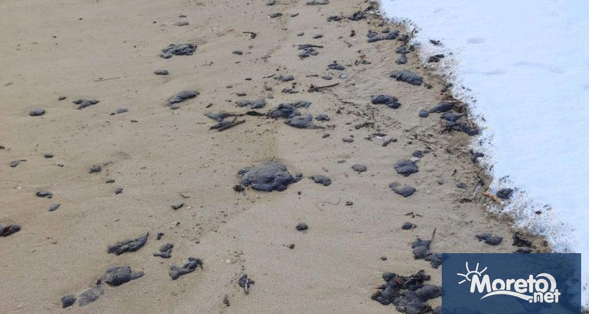 Мазут изплува на плаж Харманите край Созопол За това алармираха