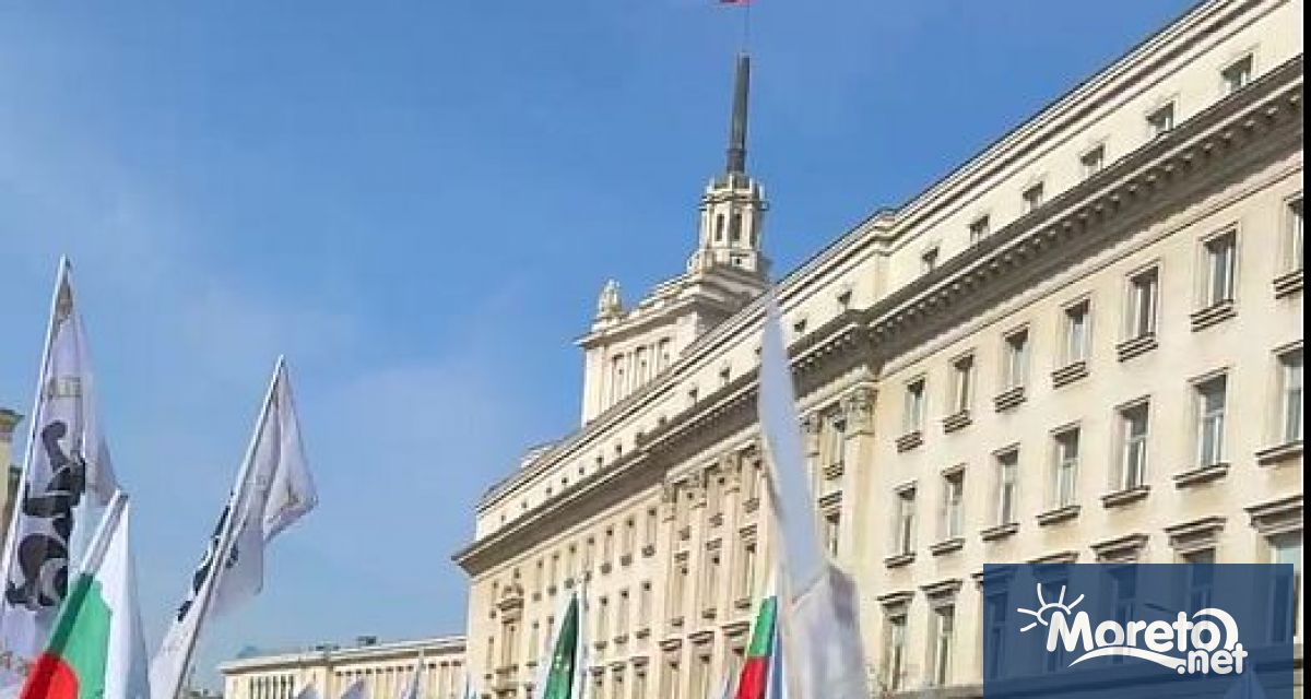 Днес по обяд в центъра на София започна протест пред