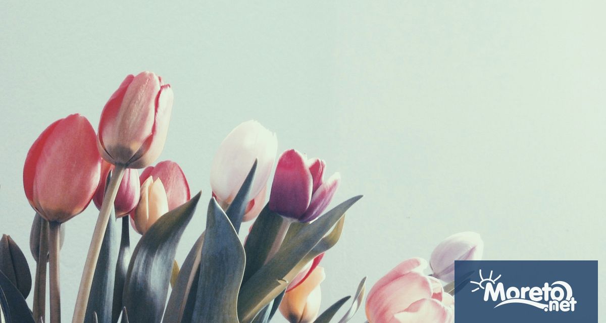 На 8 март събота Областната дирекция на МВР вув Варна