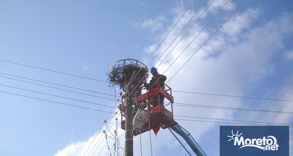 В периода преди завръщането на птиците от топлите страни екипите