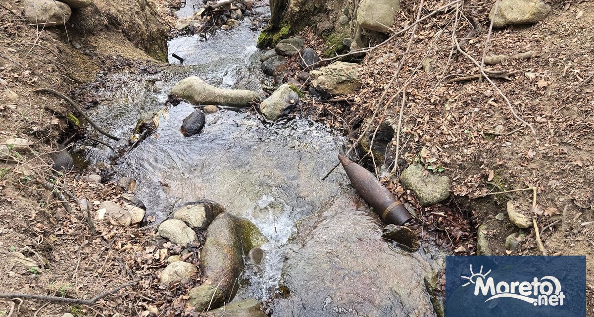 Специализиран екип от Сухопътните войски обезвреди два невзривени артилерийски снаряда