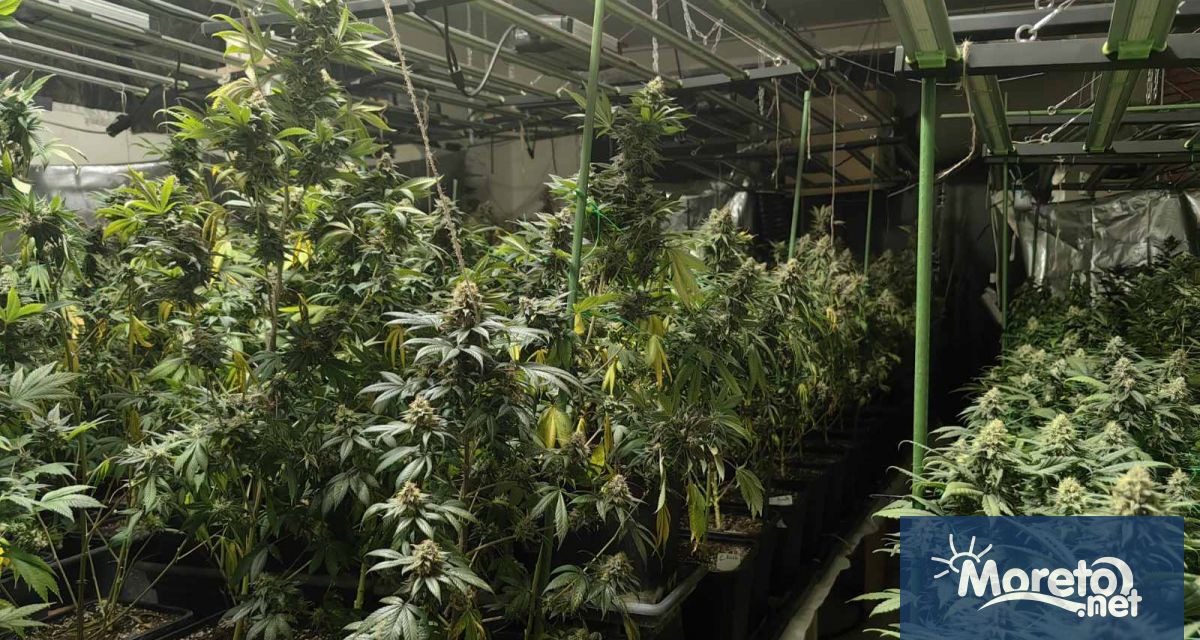 В рамките на операция за противодействие на производството и разпространението