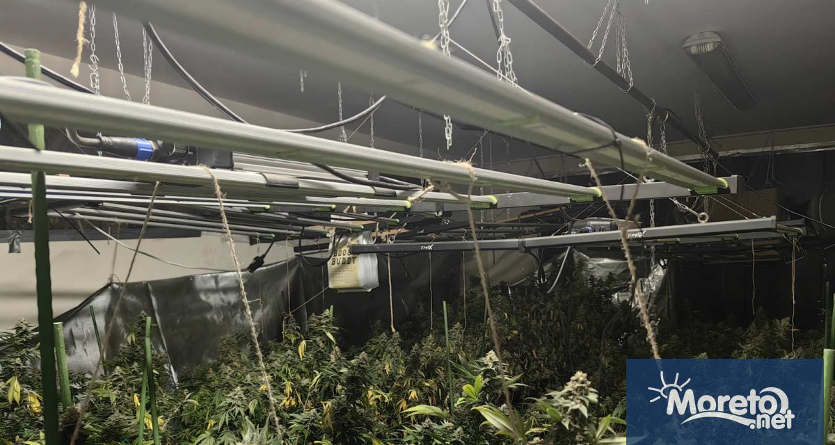 В рамките на операция за противодействие на производството и разпространението