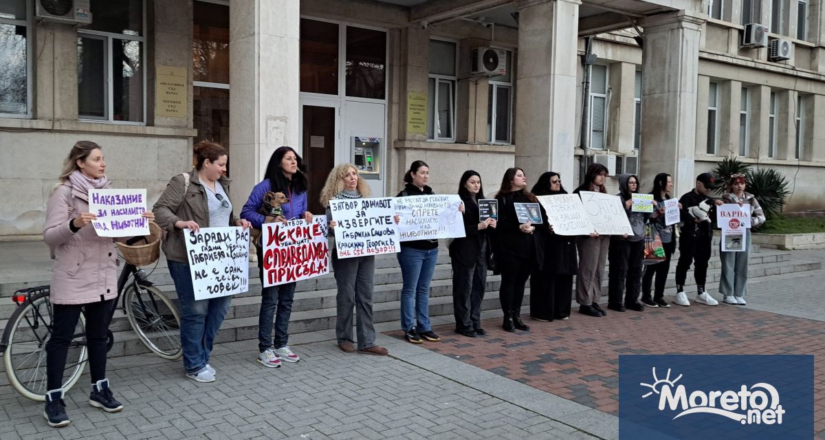 Няколкостотин души се събраха този следобед във Варна на протест