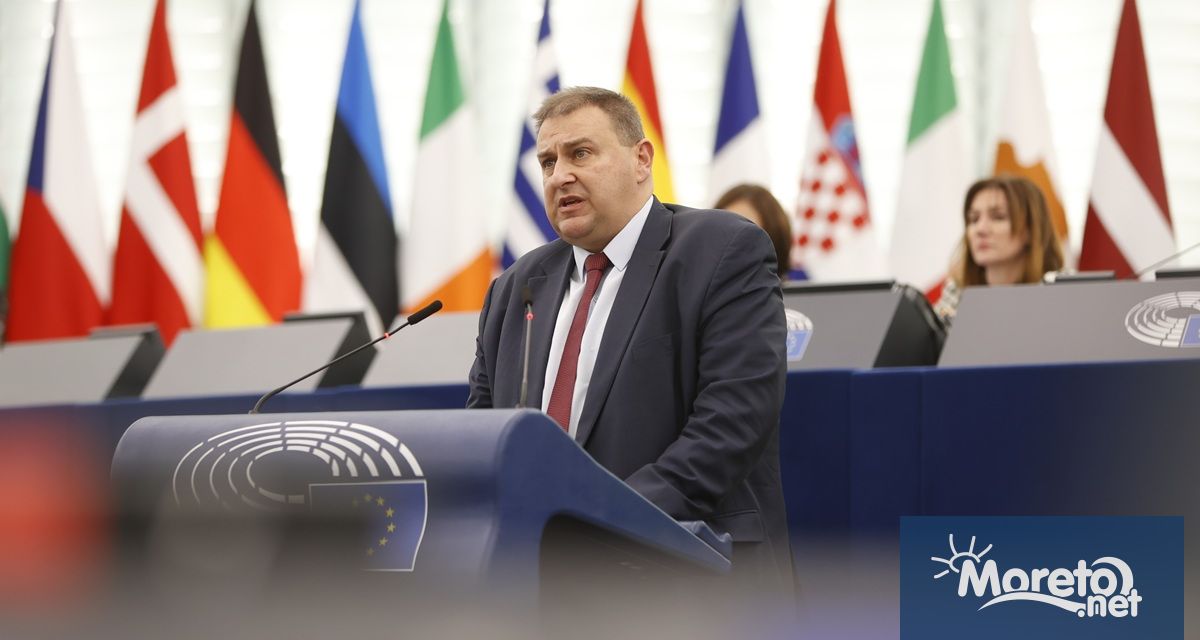 С настояване за по строги мерки срещу насилието над животни българският