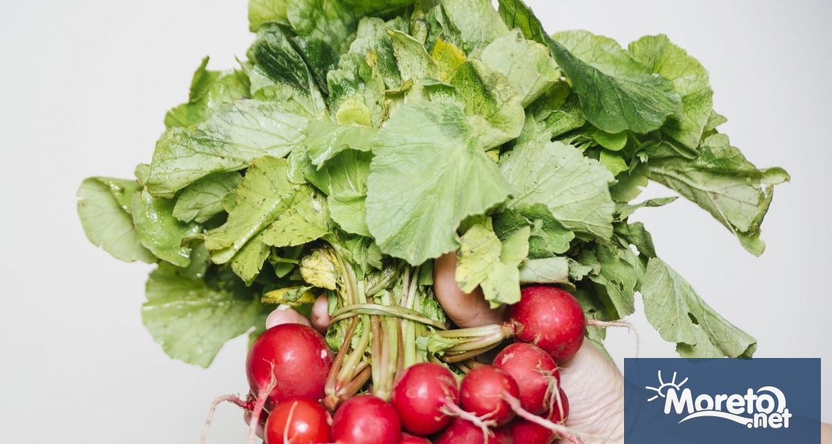 Има зеленчуци без които е твърде трудно да си представим