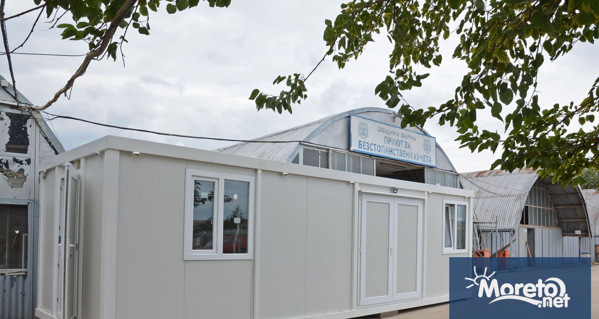 Община Варна набира кандидати на длъжност ветеринарен лекар в дейност