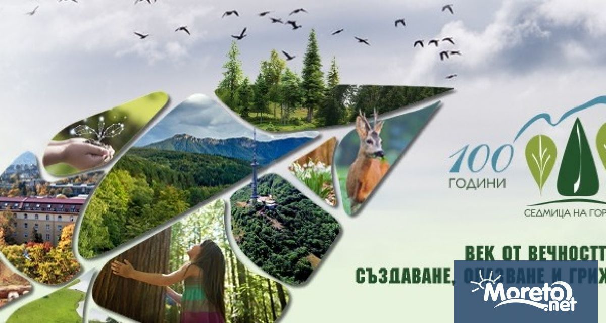 Юбилейното издание на Седмицата на гората ще бъде официално открито