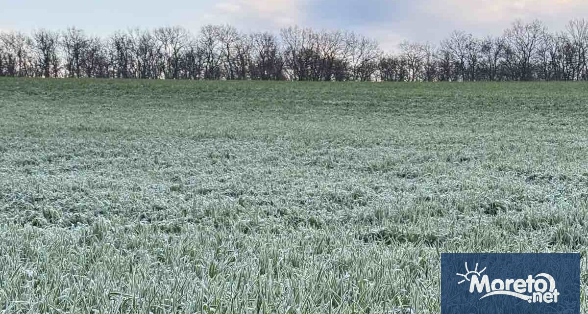 Българският фермерски съюз настоява за създаването на гаранционен фонд за