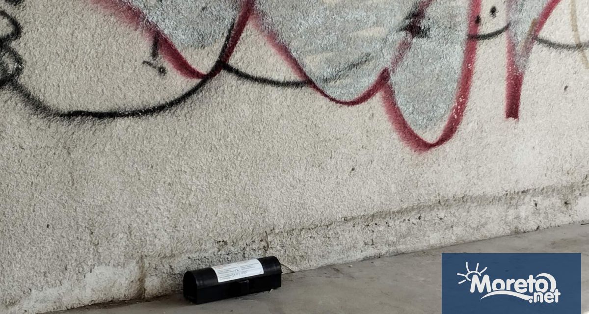 Кутии с отрова за плъхове поставят от общинското предприятие ДДД Варна