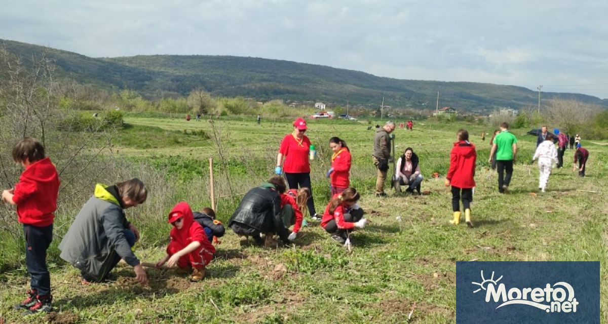 Цветница обедини за зелена мисия Община Девня Спасителен Клуб за