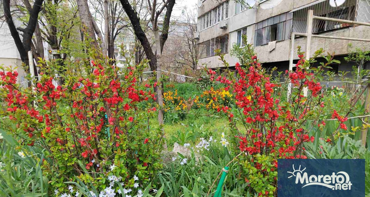 До 25 май Община Варна приема предложения на граждани институции